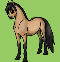 Mon cheval