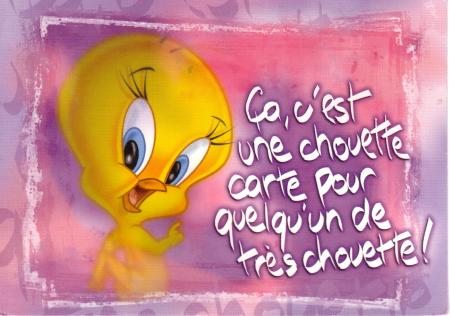 carte titi