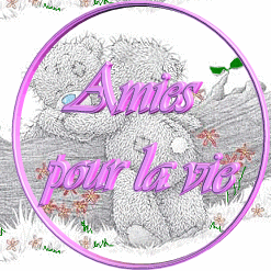 Amis pr la vie