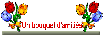 Un bouquet d'amitiés